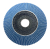 Flap Disc Back Flap Disc Back